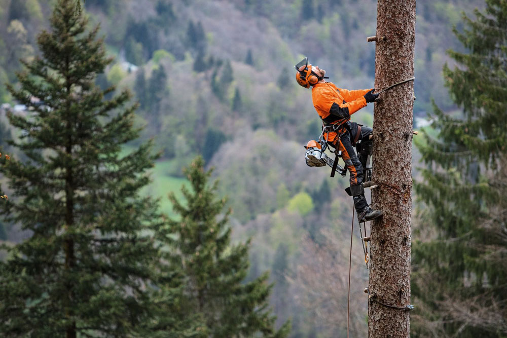 Бензопила Stihl MS 462