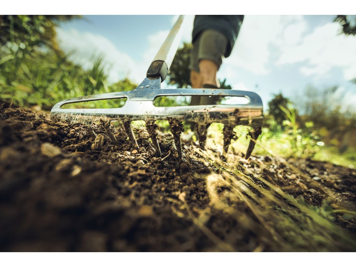 Грабли для роз малые Xact FISKARS (1027038)