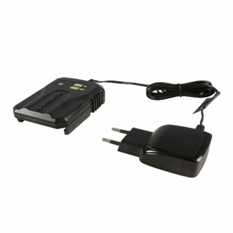 Зарядное устройство GREENWORKS G40UCM2M 2A 40В