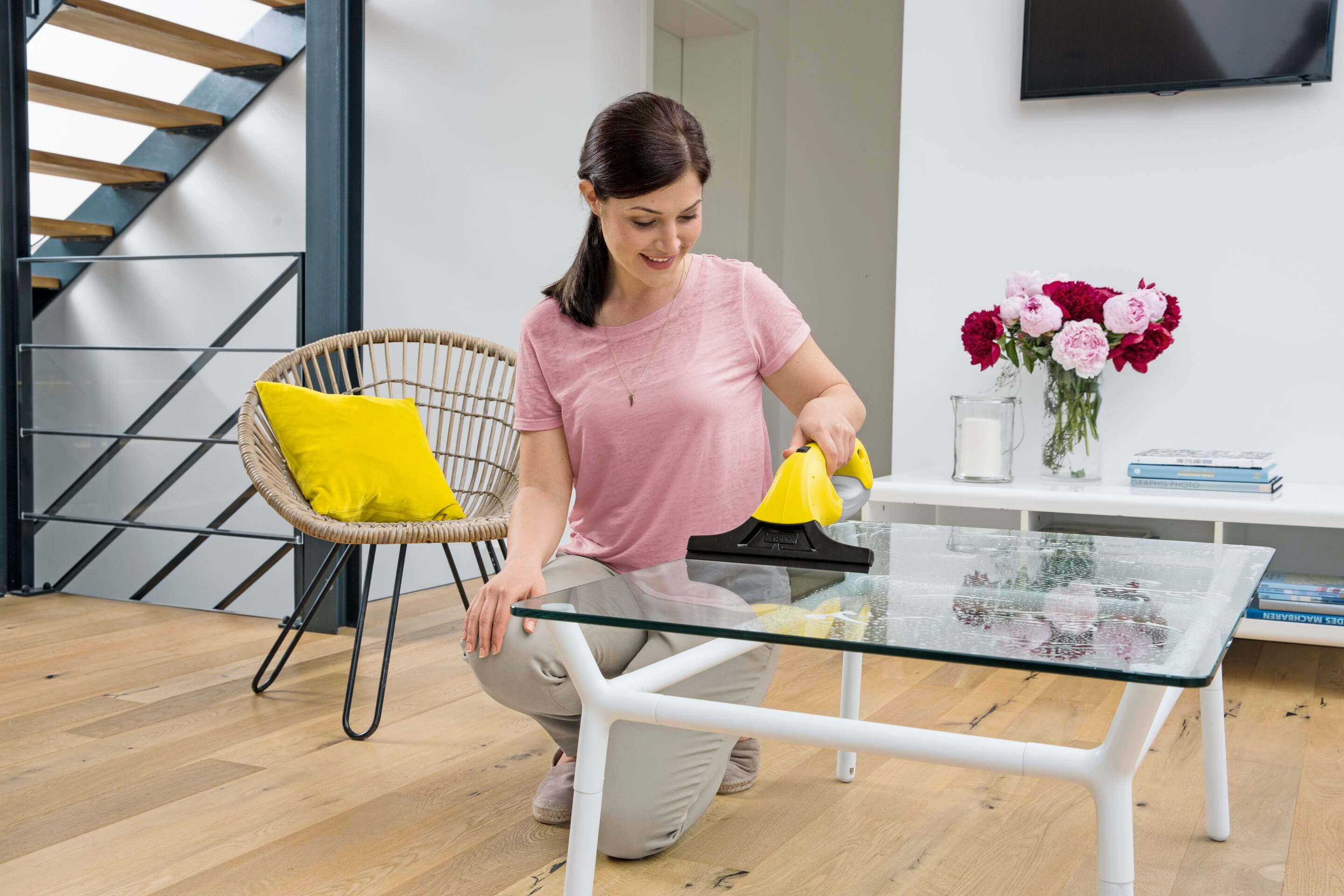 Стеклоочиститель Karcher WV 1
