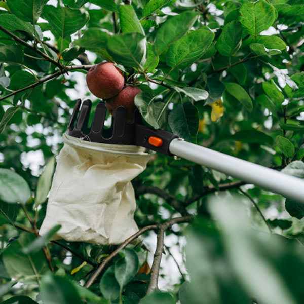 Плодосборник телескопический BRADAS V-SERIES 3,75м