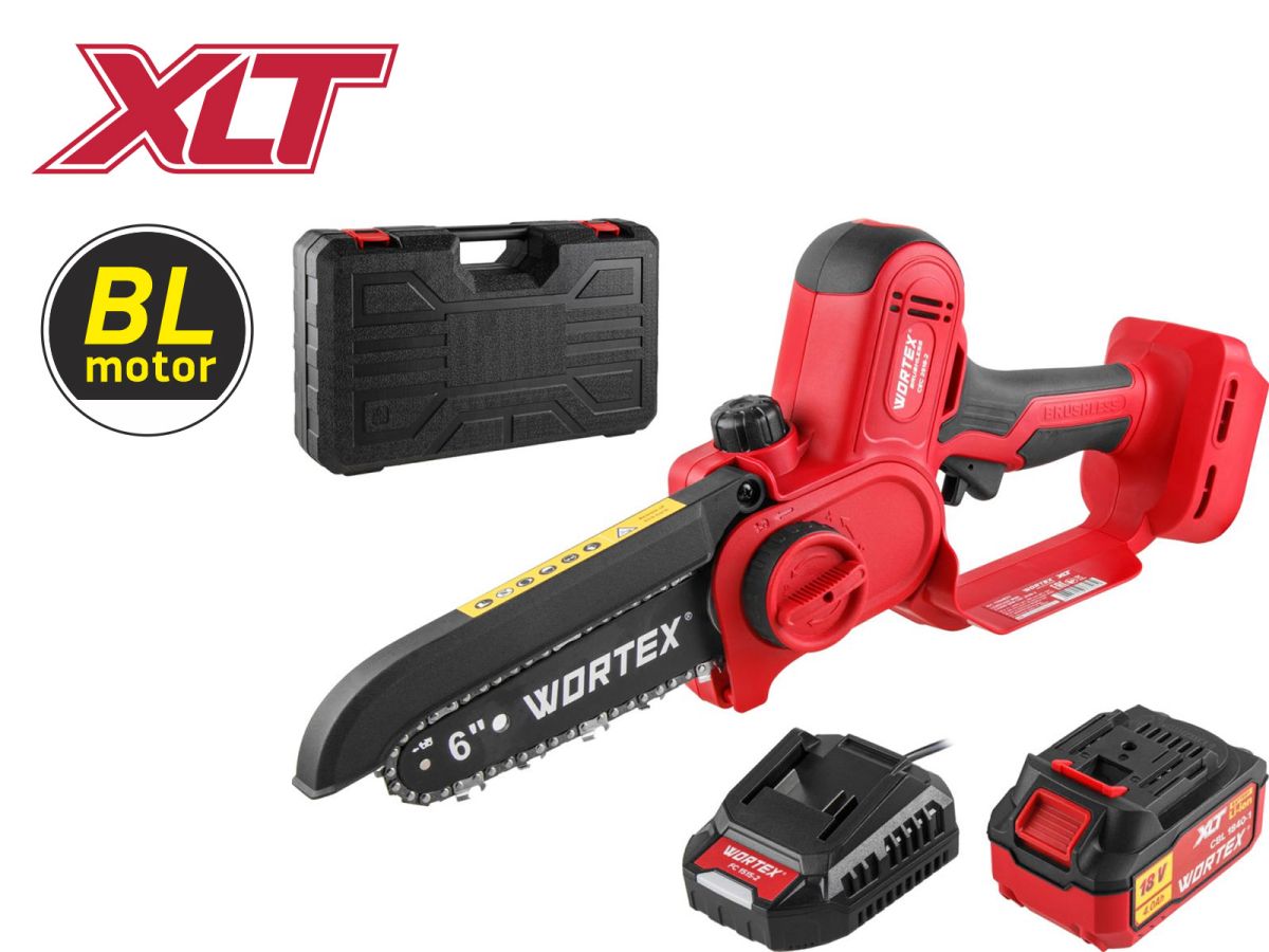 Аккумуляторная мини-пила WORTEX CEC 2518-2 в чем. ALL1 XLT SET