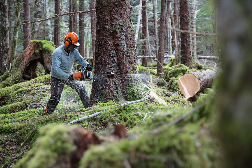 Бензопила Stihl MS 462