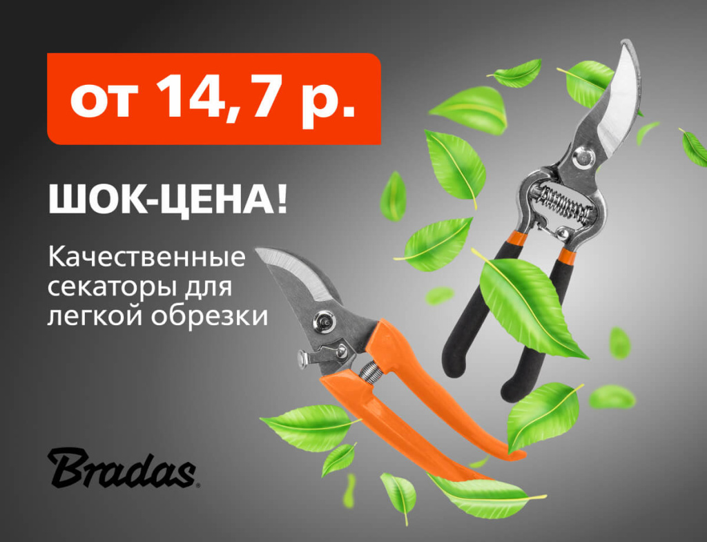 600х460 без лого Bradas.jpg