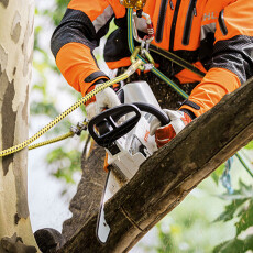 Аккумуляторная пила Stihl MSA 161 T