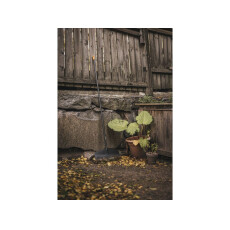 Грабли Fiskars Solid M (1063090)