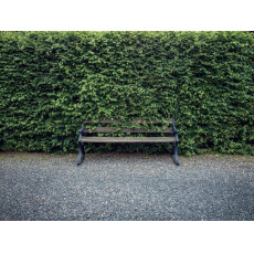 Бензиновый кусторез Husqvarna 522HD60X