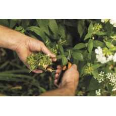 Ножницы для цветов SP13 FISKARS