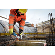 Угловая шлифмашина Bosch GWS 13-125 CIE Professional (0.601.79F.007)