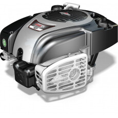 Двигатель Briggs&Stratton 750EX 161см3 (D=25 L=70/80)
