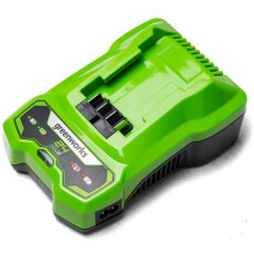 Зарядное устройство Greenworks G24C4 24В 4A