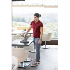 Стеклоочиститель Karcher WVP 10