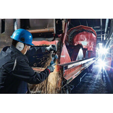 Угловая шлифмашина Bosch GWS 19-125 CIST Professional (0.601.79S.002)