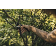 Секатор плоскостной Solid P321 FISKARS