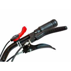 Мотоблок дизельный Weima WM 1100 BE-6