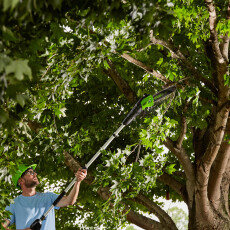 Высоторез аккумуляторный Greenworks GD60PST25 60В