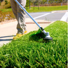 Аккумуляторный триммер Greenworks 82V ST161S (без АКБ и ЗУ)