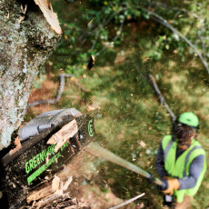 Высоторез аккумуляторный Greenworks GD82PS25 82В