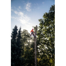 Бензопила Husqvarna 545 Mark II