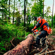 Бензопила Stihl MS 362 C-M