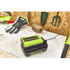 Зарядное устройство RYOBI RY36C17A