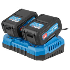 Набор 2 АКБ 4А*ч и ЗУ 2 слота 4А BULL XLTpro в чем. SET