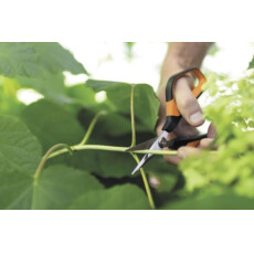 Ножницы для травы SP15 Solid FISKARS