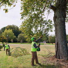 Высоторез аккумуляторный Greenworks GD82PS25 82В