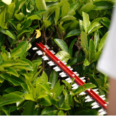 Кусторез аккумуляторный Greenworks G40HT61 40В