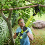 Секатор аккумуляторный RYOBI OLP1832BX (без батареи)