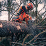 Бензопила Husqvarna 592XP