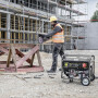 Генератор бензиновый Karcher PGG 3/1