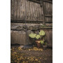 Грабли Fiskars Solid M (1063090)