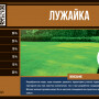 Газонная смесь "Лужайка" (Эко Микс) 1 кг.