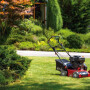 Бензиновый аэратор-скарификатор MTD Optima 38 VO