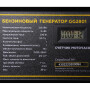 Генератор CHAMPION GG2801