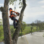 Бензопила Husqvarna T540XP Mark III