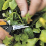 Ножницы для цветов SP13 FISKARS