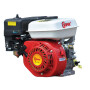 Двигатель Skiper 170F