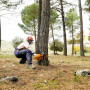 Бензопила Husqvarna 455 E Rancher AT II