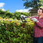 Кусторез электрический RYOBI RHT5655RS