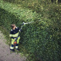 Аккумуляторный кусторез Husqvarna 525iHE3