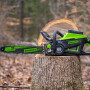 Пила цепная аккумуляторная Greenworks GD60CS25K4 60В (АКБ 4Ач + ЗУ)