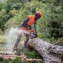 Бензопила Husqvarna 545 Mark II