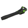 Воздуходувка аккумуляторная Greenworks GD60AB 60В