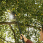 Черенок алюминиевый телескопический FISKARS OneClick М 119-174см