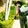 Опрыскиватель аккумуляторный Greenworks GW-BPS60 60В