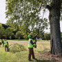 Высоторез аккумуляторный Greenworks PS102T 82В