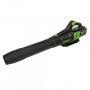 Воздуходувка аккумуляторная Greenworks GD60AB 60В