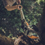 Сучкорез универсальный Fiskars UPX82